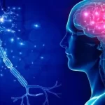 એપિલેપ્સી (Epilepsy / વાઈ / ખેંચ)