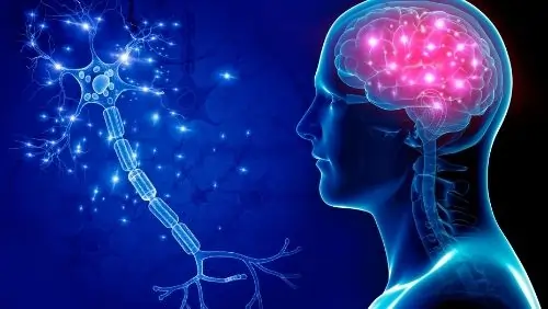 એપિલેપ્સી (Epilepsy / વાઈ / ખેંચ)