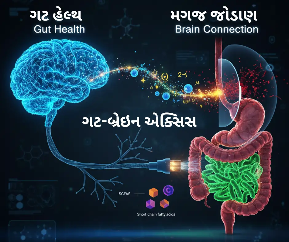 ગટ હેલ્થ (Gut Health): તમારું પેટ તમારા મગજને કેવી રીતે કંટ્રોલ કરે છે