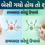 અવાજ બેસી ગયો હોય તો શું કરવું