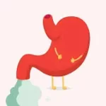 ગેસ (Flatulence / Gas)