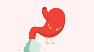 ગેસ (Flatulence / Gas)