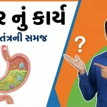 જઠર નું કાર્ય