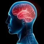 મેનિનજાઈટિસ (Meningitis)