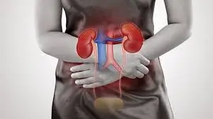 કિડની ફેલ થવી (Kidney Failure)