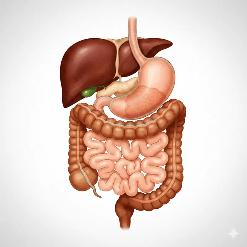ગેસ્ટ્રોએન્ટેરોલોજી