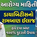 ડાયાબિટીસ નો રામબાણ ઈલાજ