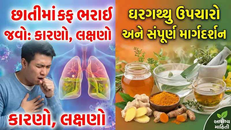 છાતીમાં કફ ભરાઈ જવો કારણો, લક્ષણો, ઘરગથ્થુ ઉપચારો