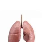 ફેફસામાં સોજો (Pulmonary Edema)