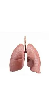 ફેફસામાં સોજો (Pulmonary Edema)