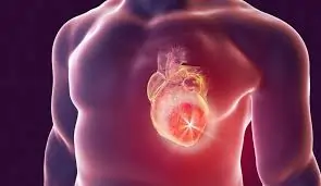 રુમેટિક હાર્ટ ડિસીઝ (Rheumatic Heart Disease)