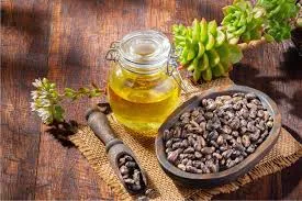 વાળ ખરતા અટકાવવા માટે ઘરેલું તેલ બનાવવાની રીત