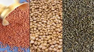 મિલેટ્સ (બાજરી, જુવાર, રાગી) ખાવાના ફાયદા અને બીમારીઓથી બચાવ