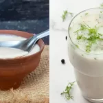 છાશ અને દહીં વચ્ચે શું તફાવત છે? કઈ બીમારીમાં શું ખાવું જોઈએ?