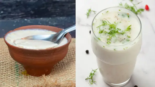 છાશ અને દહીં વચ્ચે શું તફાવત છે? કઈ બીમારીમાં શું ખાવું જોઈએ?
