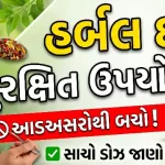 હર્બલ દવાઓનો સુરક્ષિત ઉપયોગ