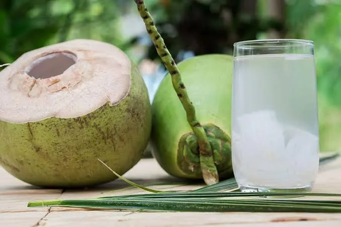 નારિયેળ પાણી (Coconut Water) પીવાનો સાચો સમય કયો? ક્યારે ન પીવું?