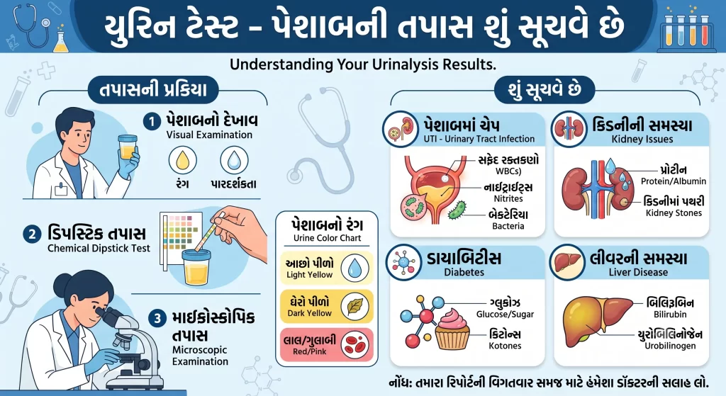 યુરિન ટેસ્ટ (પેશાબની તપાસ