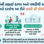 કિડનીની સફાઈ કરવા અને પથરીથી બચવા માટે દરરોજ આ રીતે પાણી પીવો